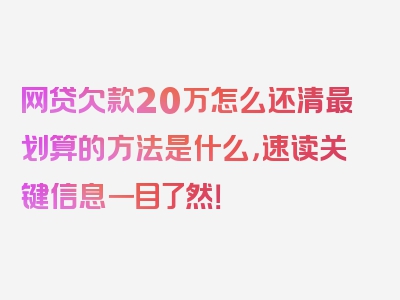 网贷欠款20万怎么还清最划算的方法是什么，速读关键信息一目了然！