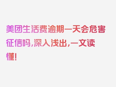 美团生活费逾期一天会危害征信吗，深入浅出，一文读懂！