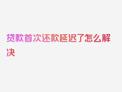 贷款首次还款延迟了怎么解决