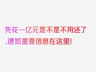 先花一亿元是不是不用还了，速览重要信息在这里！