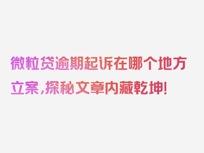 微粒贷逾期起诉在哪个地方立案，探秘文章内藏乾坤！