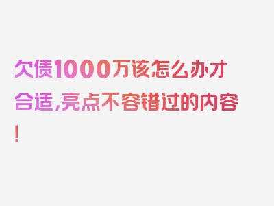 欠债1000万该怎么办才合适，亮点不容错过的内容！