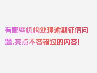 有哪些机构处理逾期征信问题，亮点不容错过的内容！