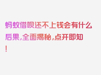 蚂蚁借呗还不上钱会有什么后果，全面揭秘，点开即知！