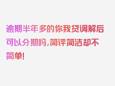 逾期半年多的你我贷调解后可以分期吗，简评简洁却不简单！