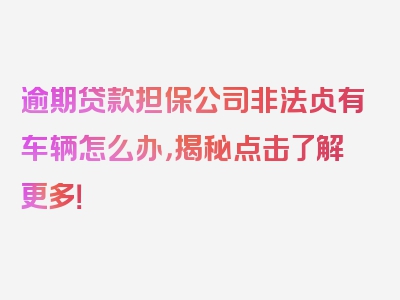 逾期贷款担保公司非法占有车辆怎么办，揭秘点击了解更多！