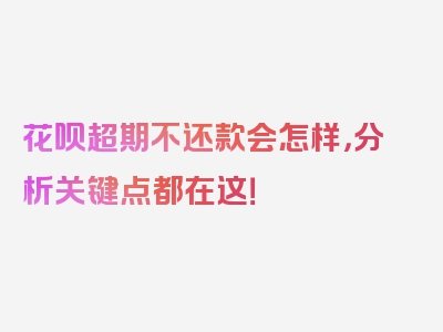 花呗超期不还款会怎样，分析关键点都在这！