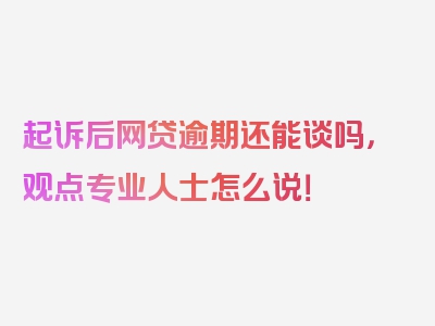 起诉后网贷逾期还能谈吗，观点专业人士怎么说！