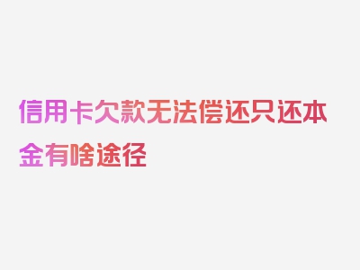 信用卡欠款无法偿还只还本金有啥途径