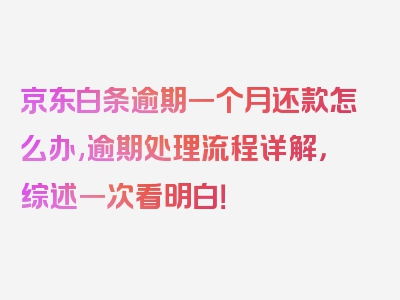 京东白条逾期一个月还款怎么办,逾期处理流程详解，综述一次看明白！