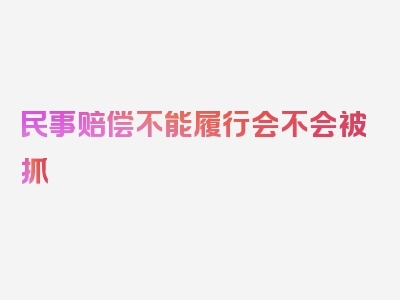 民事赔偿不能履行会不会被抓