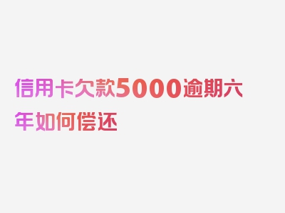 信用卡欠款5000逾期六年如何偿还