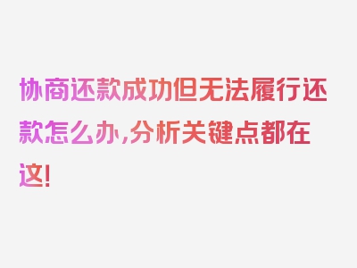 协商还款成功但无法履行还款怎么办，分析关键点都在这！