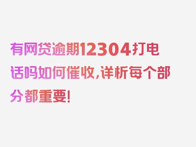 有网贷逾期12304打电话吗如何催收，详析每个部分都重要！