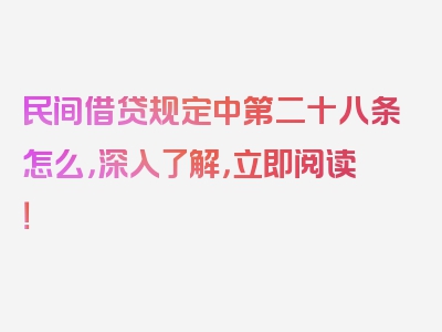 民间借贷规定中第二十八条怎么，深入了解，立即阅读！