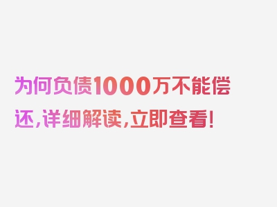 为何负债1000万不能偿还，详细解读，立即查看！