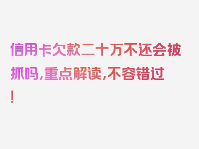 信用卡欠款二十万不还会被抓吗，重点解读，不容错过！