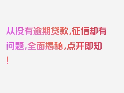 从没有逾期贷款,征信却有问题，全面揭秘，点开即知！