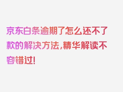 京东白条逾期了怎么还不了款的解决方法，精华解读不容错过！