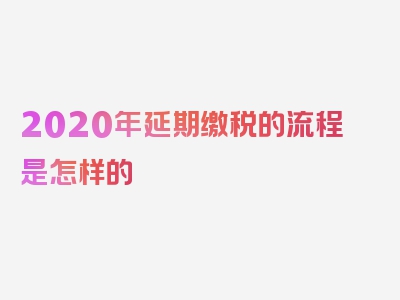 2020年延期缴税的流程是怎样的