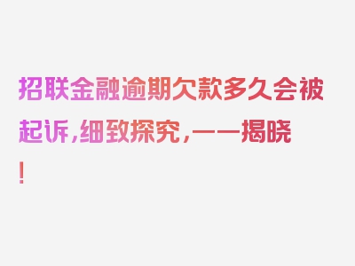 招联金融逾期欠款多久会被起诉，细致探究，一一揭晓！