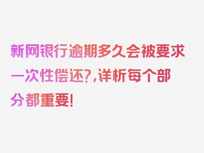 新网银行逾期多久会被要求一次性偿还?，详析每个部分都重要！