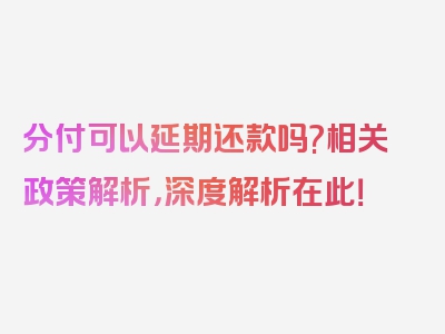 分付可以延期还款吗?相关政策解析，深度解析在此！