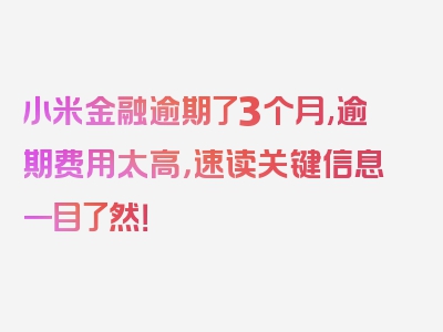 小米金融逾期了3个月,逾期费用太高，速读关键信息一目了然！