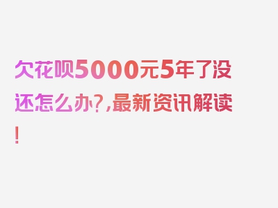 欠花呗5000元5年了没还怎么办?，最新资讯解读！