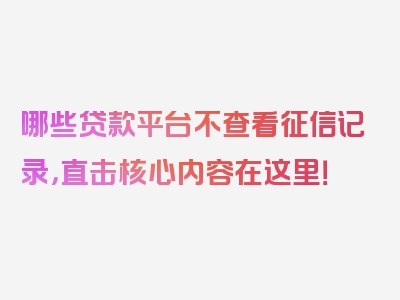 哪些贷款平台不查看征信记录，直击核心内容在这里！