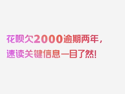 花呗欠2000逾期两年，速读关键信息一目了然！