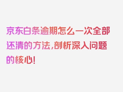 京东白条逾期怎么一次全部还清的方法，剖析深入问题的核心！