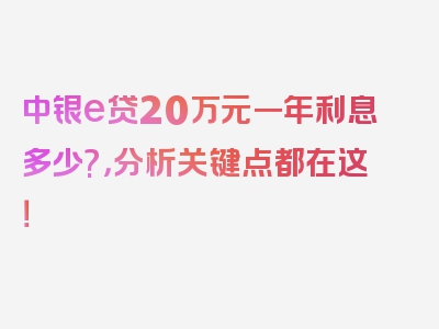 中银e贷20万元一年利息多少?，分析关键点都在这！