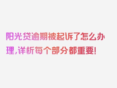 阳光贷逾期被起诉了怎么办理，详析每个部分都重要！