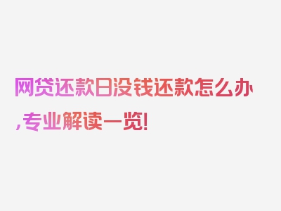 网贷还款日没钱还款怎么办，专业解读一览！