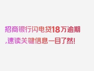 招商银行闪电贷18万逾期，速读关键信息一目了然！