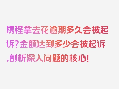 携程拿去花逾期多久会被起诉?金额达到多少会被起诉，剖析深入问题的核心！