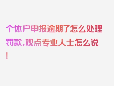 个体户申报逾期了怎么处理罚款，观点专业人士怎么说！