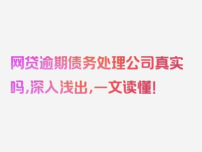 网贷逾期债务处理公司真实吗，深入浅出，一文读懂！