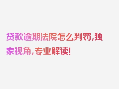 贷款逾期法院怎么判罚，独家视角，专业解读！