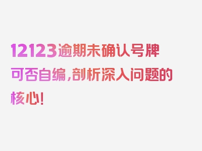 12123逾期未确认号牌可否自编，剖析深入问题的核心！