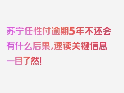 苏宁任性付逾期5年不还会有什么后果，速读关键信息一目了然！