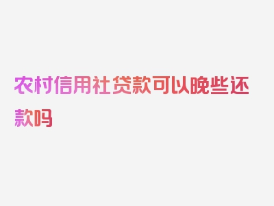 农村信用社贷款可以晚些还款吗