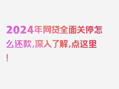 2024年网贷全面关停怎么还款，深入了解，点这里！