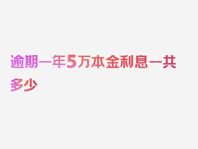 逾期一年5万本金利息一共多少