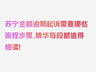 苏宁金额逾期起诉需要哪些流程步骤，精华每段都值得细读！