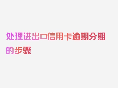 处理进出口信用卡逾期分期的步骤