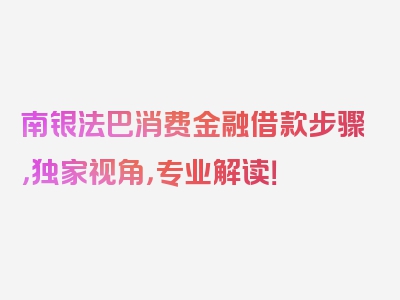 南银法巴消费金融借款步骤，独家视角，专业解读！