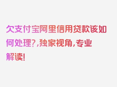 欠支付宝阿里信用贷款该如何处理?，独家视角，专业解读！