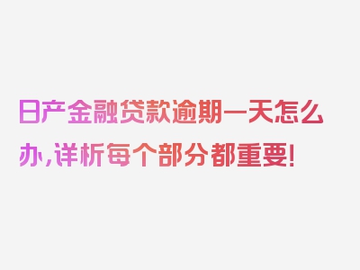 日产金融贷款逾期一天怎么办，详析每个部分都重要！